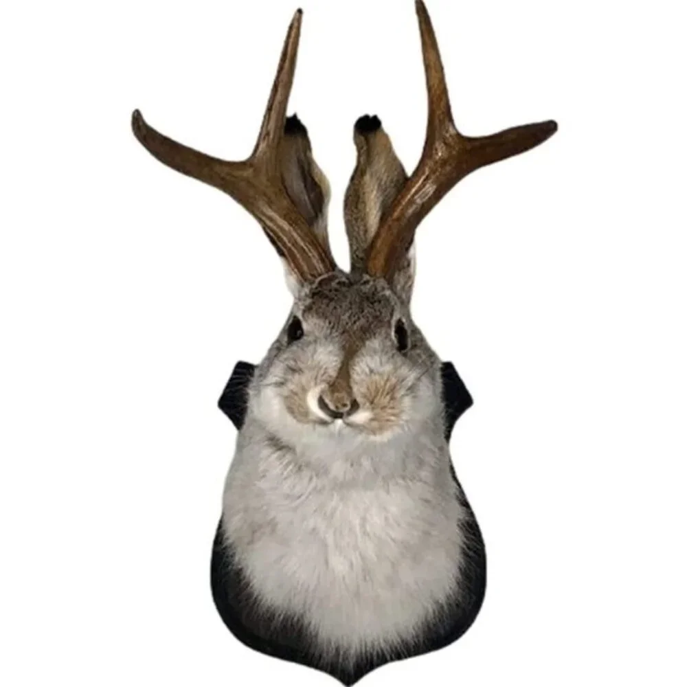 Jackalope Resin Wall Mount – Retro Deer Head Wall Sculpture